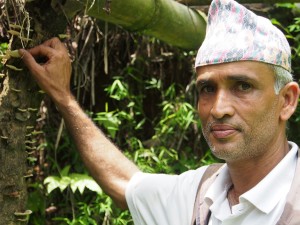 Farmer Surya Mohan Bastola in his farm. 