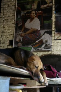 _MG_7166 copy
