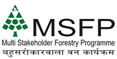 MSFP_logo