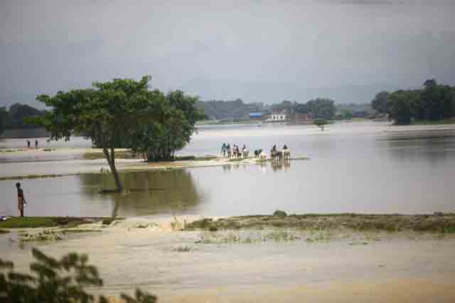 kantpur ftnp
