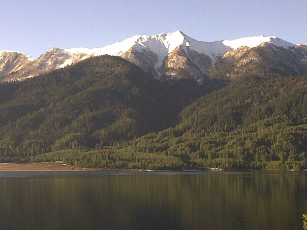 rara