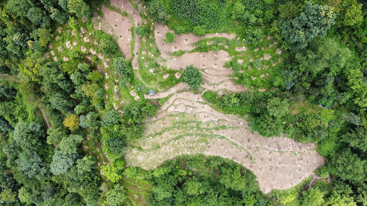 Green intelligence nepal