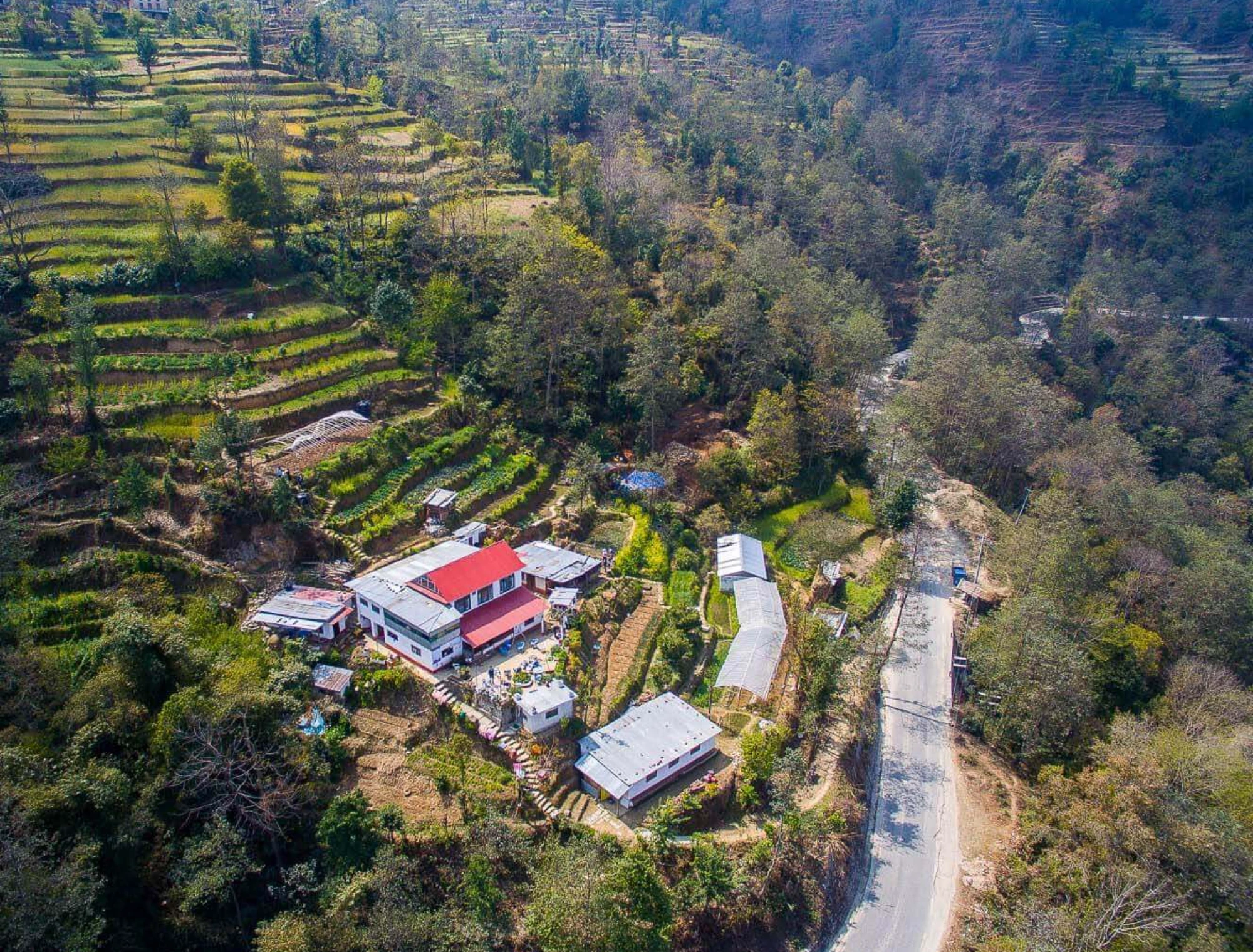 Hasera farm 1