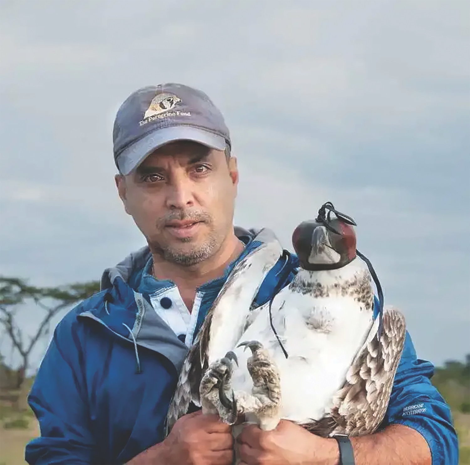 Munir virani