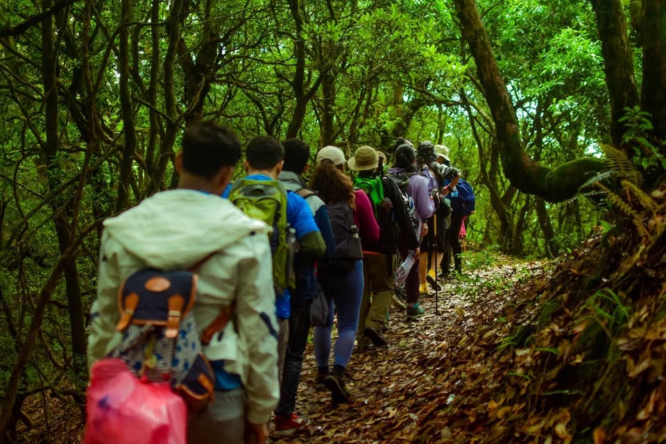 Pal khoriya forest hike