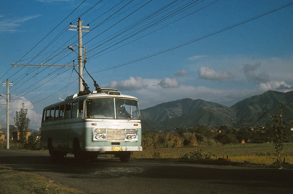 Trolley bus 4